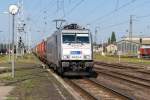 br-386/445198/386-014-5-metrans-rail-sro-mit 386 014-5 METRANS Rail s.r.o. mit einem Containerzug in Stendal und fuhr weiter in Richtung Magdeburg. 07.08.2015